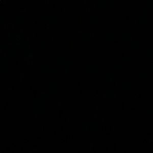 Meet your Posher, Ny